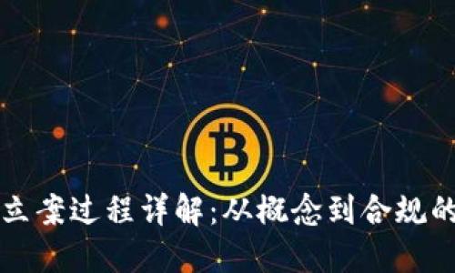 虚拟币立案过程详解：从概念到合规的每一步