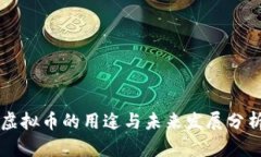 虚拟币的用途与未来发展