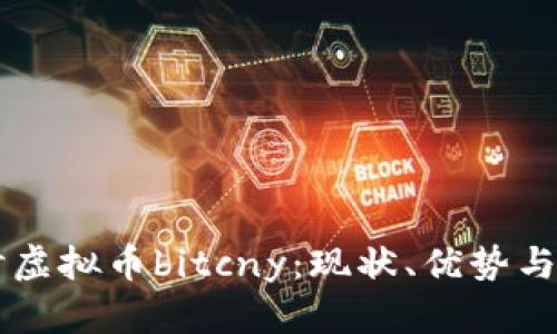 深入探讨虚拟币bitcny：现状、优势与未来展望