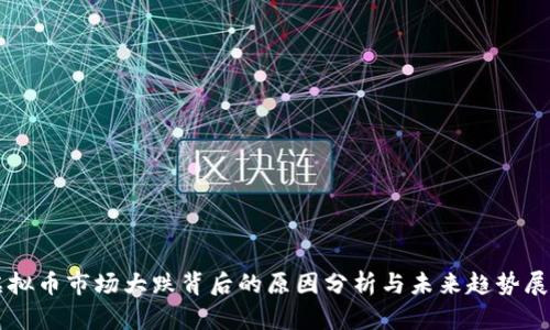 虚拟币市场大跌背后的原因分析与未来趋势展望