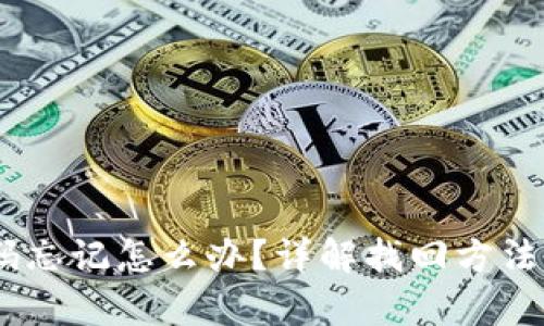 :tp钱包密码忘记怎么办？详解找回方法与预防措施