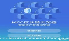 深入了解RC虚拟币：未来数
