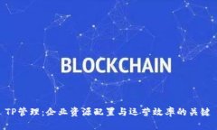 TP管理：企业资源配置与运
