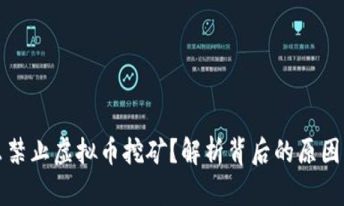 为什么禁止虚拟币挖矿？解析背后的原因与影响
