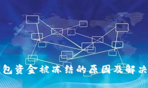 TP钱包资金被冻结的原因及解决方法