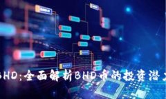 虚拟币BHD：全面解析BHD币