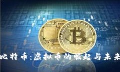 比特币：虚拟币的崛起与