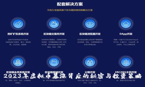 2023年虚拟币暴涨背后的秘密与投资策略