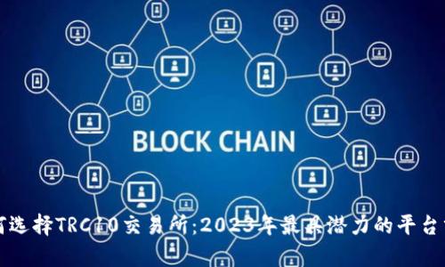如何选择TRC10交易所：2023年最具潜力的平台分析