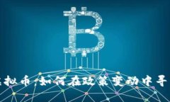 美国监管虚拟币：如何在