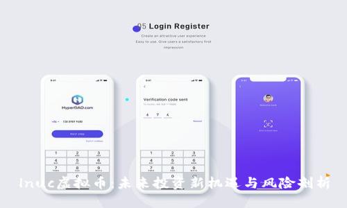lnuc虚拟币：未来投资新机遇与风险剖析