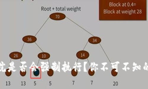 虚拟币法院是否会强制执行？你不可不知的法律风险