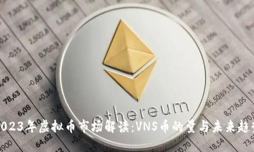 2023年虚拟币市场解读：VNS币的量与未来趋势