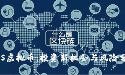 WIS虚拟币：投资新机会与风险分析