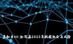 虚拟币AU：如何在2023年把