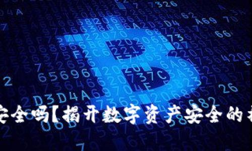 TP钱包安全吗？揭开数字资产安全的神秘面纱