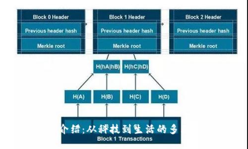 TP品牌介绍：从科技到生活的多元化选择