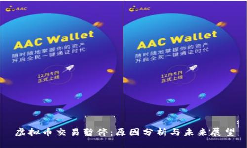 虚拟币交易暂停：原因分析与未来展望