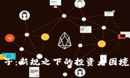 打击虚拟币的日子：新规之下的投资者困境与市场未来展望