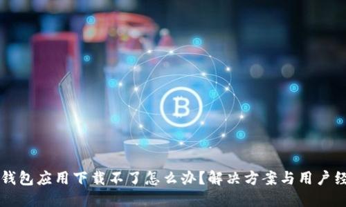 虚拟币钱包应用下载不了怎么办？解决方案与用户经验分享