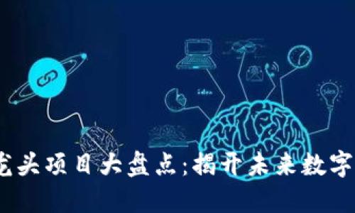 2023年虚拟币龙头项目大盘点：揭开未来数字资产的投资机会