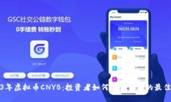 2023年虚拟币CNYB：投资者如