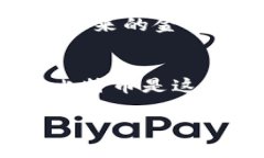   比特币与新兴虚拟货币：