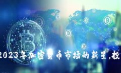 猪币虚拟币：2023年加密货