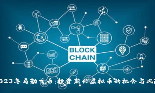2023年马勒戈币：投资新兴虚拟币的机会与风险