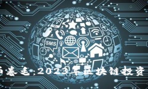 虚拟币卷毛：2023年区块链投资新风口