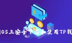 如何在iOS上安全下载和使