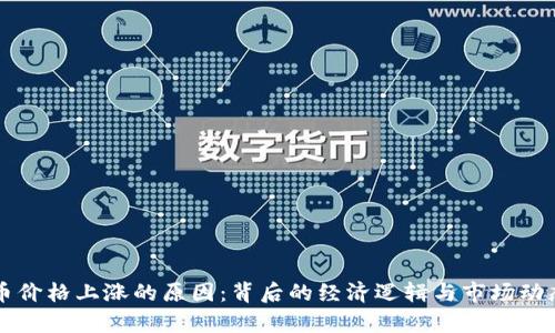虚拟币价格上涨的原因：背后的经济逻辑与市场动态解析