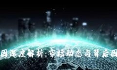 虚拟币涨跌原因深度解析