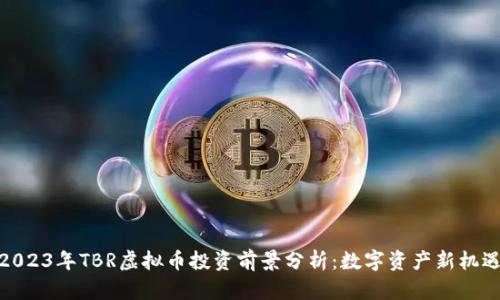 2023年TBR虚拟币投资前景分析：数字资产新机遇
