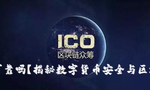 TP钱包可靠吗？揭秘数字货币安全与区块链未来