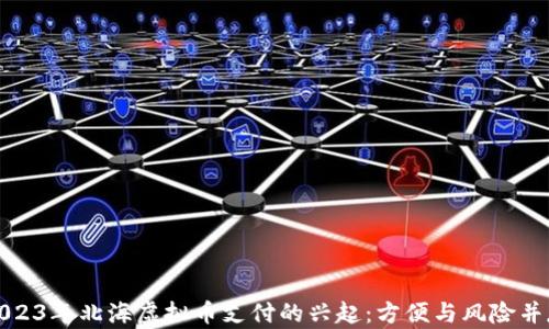 
2023年北海虚拟币支付的兴起：方便与风险并存