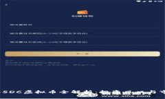 2023年SDC虚拟币全解析：投