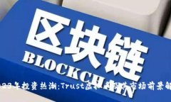 2023年投资热潮：Trust虚拟