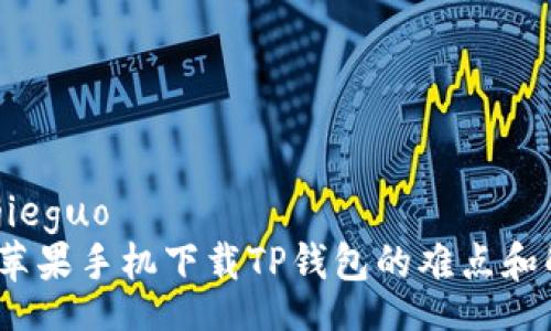 jieguo/jieguo  
2023年苹果手机下载TP钱包的难点和解决方案