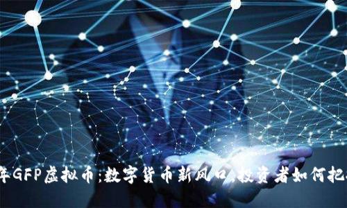 2023年GFP虚拟币：数字货币新风口，投资者如何把握机会