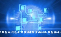 TP钱包冷钱包会被盗吗？深