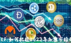 虚拟币REF：如何把握2023年