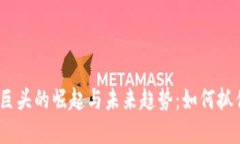 2023年虚拟币巨头的崛起与