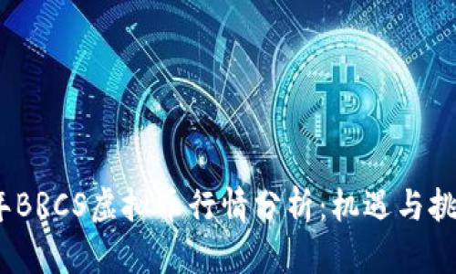 2023年BRCS虚拟币行情分析：机遇与挑战并存