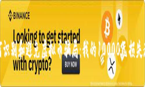 如何识别和避免虚拟币骗局：我的10000元损失教训