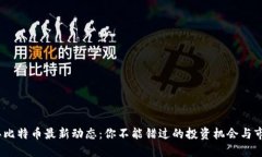 2023年比特币最新动态：你