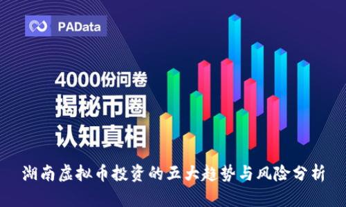 湖南虚拟币投资的五大趋势与风险分析