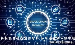 虚拟币杠杆交易的稳定性