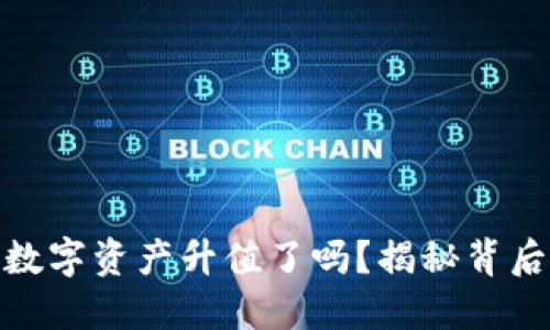 TP钱包里的数字资产升值了吗？揭秘背后的投资机会