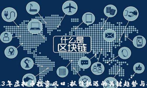 
2023年虚拟币投资风口：抓住机遇的关键趋势与技巧